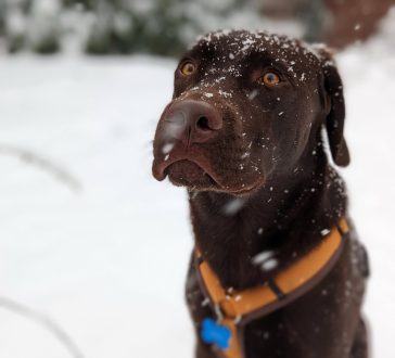 Angstbewältigung Large