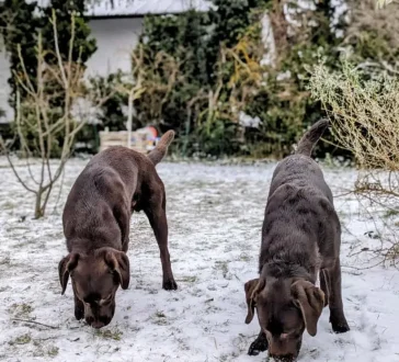 Begegnungsberatung und -training Large