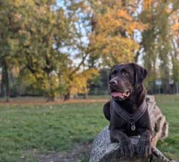 Individuelle Alltagsberatung Large