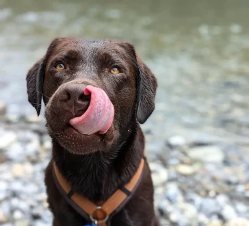 Körpersprache-Workshops Large